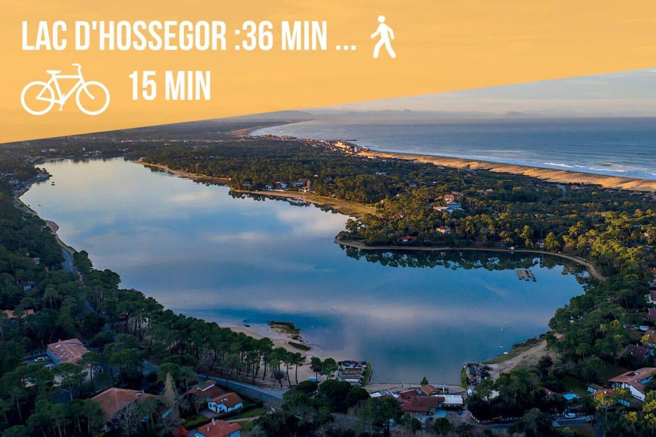 * Hossegor * Plage 100M * Vue Sur Les Pins *Surf Soorts-Hossegor Exterior photo