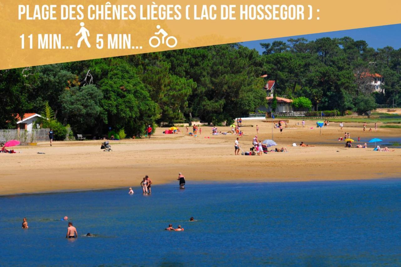 * Hossegor * Plage 100M * Vue Sur Les Pins *Surf Soorts-Hossegor Exterior photo